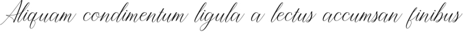 Selly Font Preview