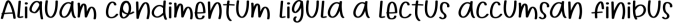 Steak N Grill Font Preview