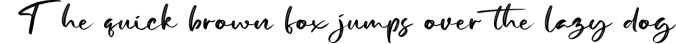 Dellons Signature-Elegant Brush Font Font Preview