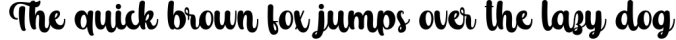 Follio Cooper - Bold Script Font Font Preview