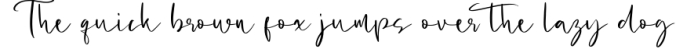 Jenyta Modern Calligraphy Font Font Preview