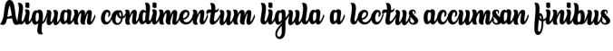 Tropical Vacatina Font Preview