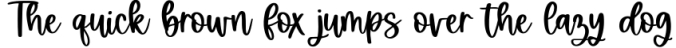 Bluebird - Handwritten Script Font Font Preview