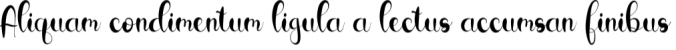 Cerellia Font Preview
