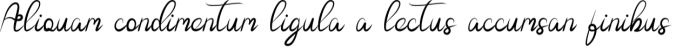 Bella Font Preview