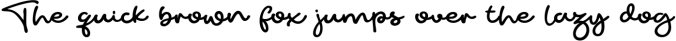 Pureline Font Preview