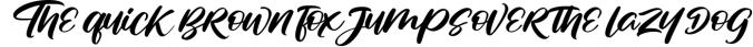 Studio Ashtral | Brush Lettering Script Font Font Preview