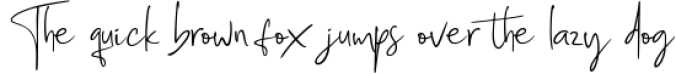 Billie Ashley - a Script Handwritten Font Font Preview