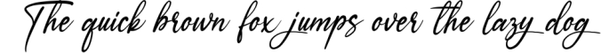 Ameyallinda Signature Font Preview