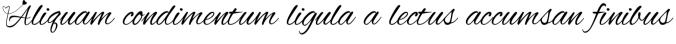 Queen Love Font Preview