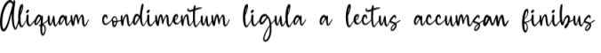 Rasha Font Preview
