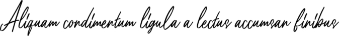 Anita Font Preview