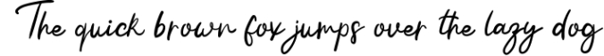 Handwriting - Stylish Handwriting Font Font Preview