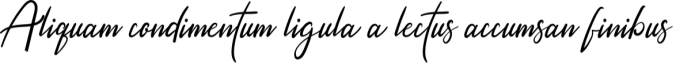 Signature Font Preview