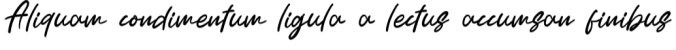 Signature Font Preview