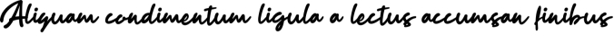 Remover Ravella Font Preview