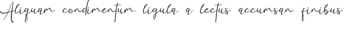 Rettica Font Preview