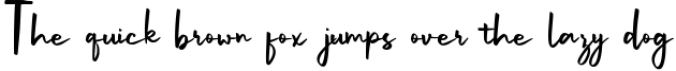 Belle Amour - Modern Calligraphy Font Preview