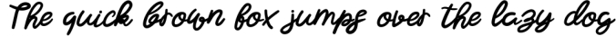 Shoelace - A Bouncy Handwritten Script Font Font Preview