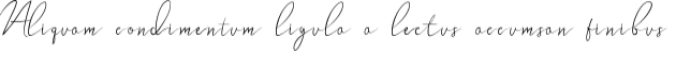 Wollaston Font Preview