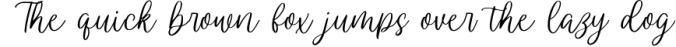 Wendling - Beautiful Script Font Preview