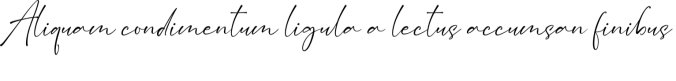 Amstajul Bafett Font Preview
