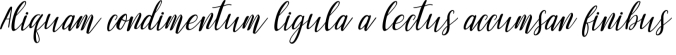 Mandarina Font Preview
