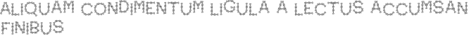 Bone Font Preview