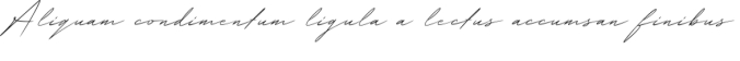 Wolvertton Signature Font Preview