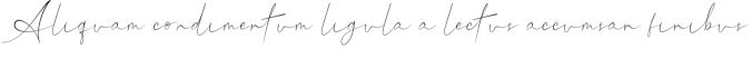 Hillonest Signature Font Preview
