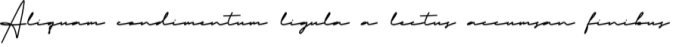 Cristhyna Signature Font Preview