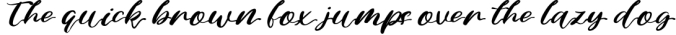 Minoesta | Beautiful Modern Calligraphy Font Preview