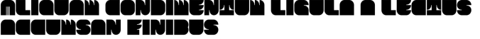 Karl Zone Font Preview
