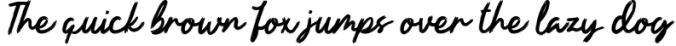 Hansley | Handwritten Brush Font Preview
