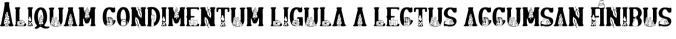 Bonfire Font Preview