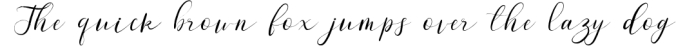 ladybird - elegant brush font Font Preview