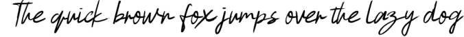 Malefoy Script Font Font Preview
