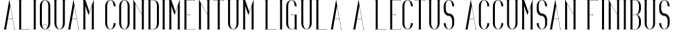 Irina Font Preview