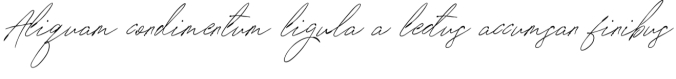 Signature Vp Font Preview