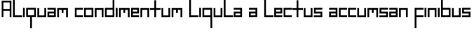 Begonia Font Preview