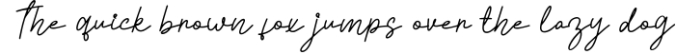 Tyloos Signature - Signature Font Font Preview