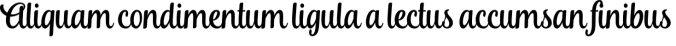 Andalusia Script Font Preview
