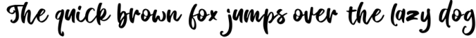 Fermino Font Preview