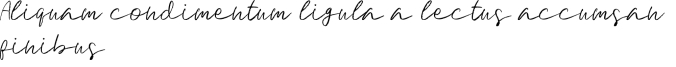 Signature Brush Font Preview