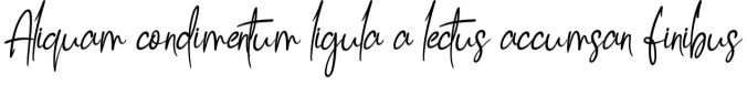 Hibiscus Signature Font Preview