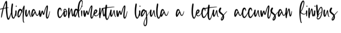 Violet Twinkle Font Preview