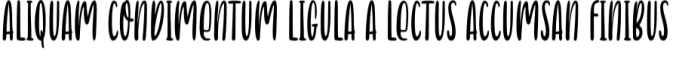 Peak Season Font Preview