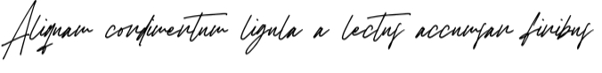 Loremita Signature Font Preview