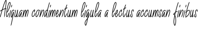 Salvinia Font Preview