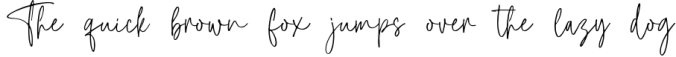 Taylor Hand - Handwritten Signature Font Preview